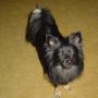 Jeanne Campbell Photo 28