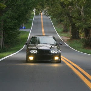 Carl Gold Photo 24