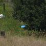 Kris Jacobson Photo 27