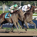 John Travers Photo 20