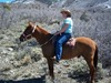 Sandra Tanner Photo 30