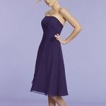 Alice Bird Photo 26