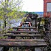 Shelly Fry Photo 29