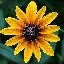 Anne Haley Photo 29