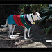 Barbara Coats Photo 13