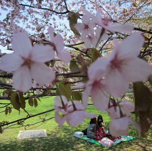 Grace Chang Photo 31