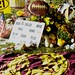Sean Taylor Photo 25
