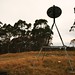 Victoria Matlock Photo 6