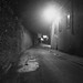 Philip Lane Photo 28