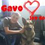 Jack Gavin Photo 29