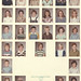 Beth Magee Photo 16