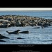 Christopher Bone Photo 20