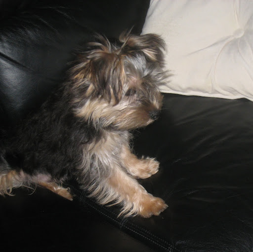 Nellie Smith Photo 31