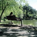 Mark Rees Photo 26