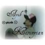 Muhammad Ayub Photo 23