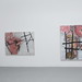 Susan Venezia Photo 19