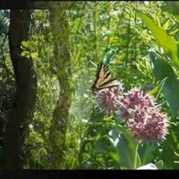 Susan Moyer Photo 35