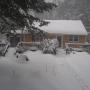 Jan Scanlon Photo 16