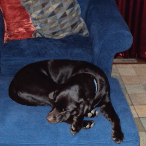 Connie Duffy Photo 16