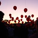 Suzanne Whitt Photo 10