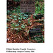 Nancy Buckley Photo 18