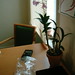Sue Orman Photo 8