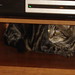 Jessie Hide Photo 2