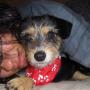 Christy Leon Photo 16