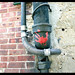 Lawrence Hand Photo 8