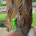 Wanda Weeks Photo 16