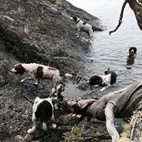 Vicki Gallagher Photo 27