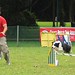 Lucas Bailey Photo 7