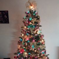 Catherine Allen Photo 18