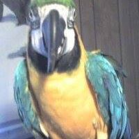 Tracy Matassa Photo 2