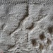 Suzanne Atkinson Photo 23