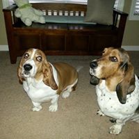 Teresa Goode Photo 8