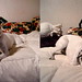 Cindy Fox Photo 10