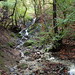 Teresa Parks Photo 24