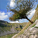 Janet Berry Photo 33
