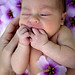 Allison Munch Photo 2