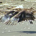 Robin Martyn Photo 12