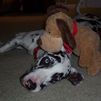Bruce Barbour Photo 33