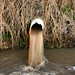 Connie Parish Photo 17