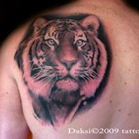 Anthony Wolf Photo 41