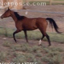 Michele Day Photo 20