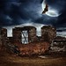 Brenda Fox Photo 17