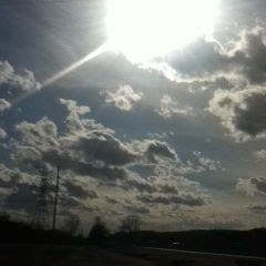 Merle Miller Photo 4