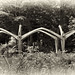 Max Graves Photo 17