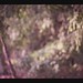 Vicky Winters Photo 5