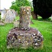 Mary Gibbons Photo 18